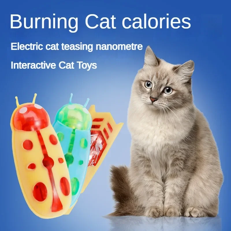 Mini Electric Bug Cat Toy 4