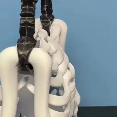 

Сумка из кости скелета с 3D принтом, готический кошелек со скелетом, жуткая реалистичная сумка в виде ленты, функциональный карман, тематическая вечеринка на Хэллоуин