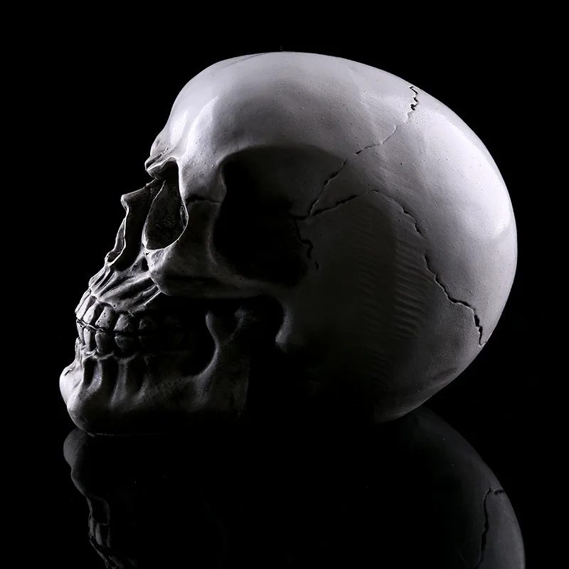 Home Head Resin Halloween Skull Prank Gift eBay