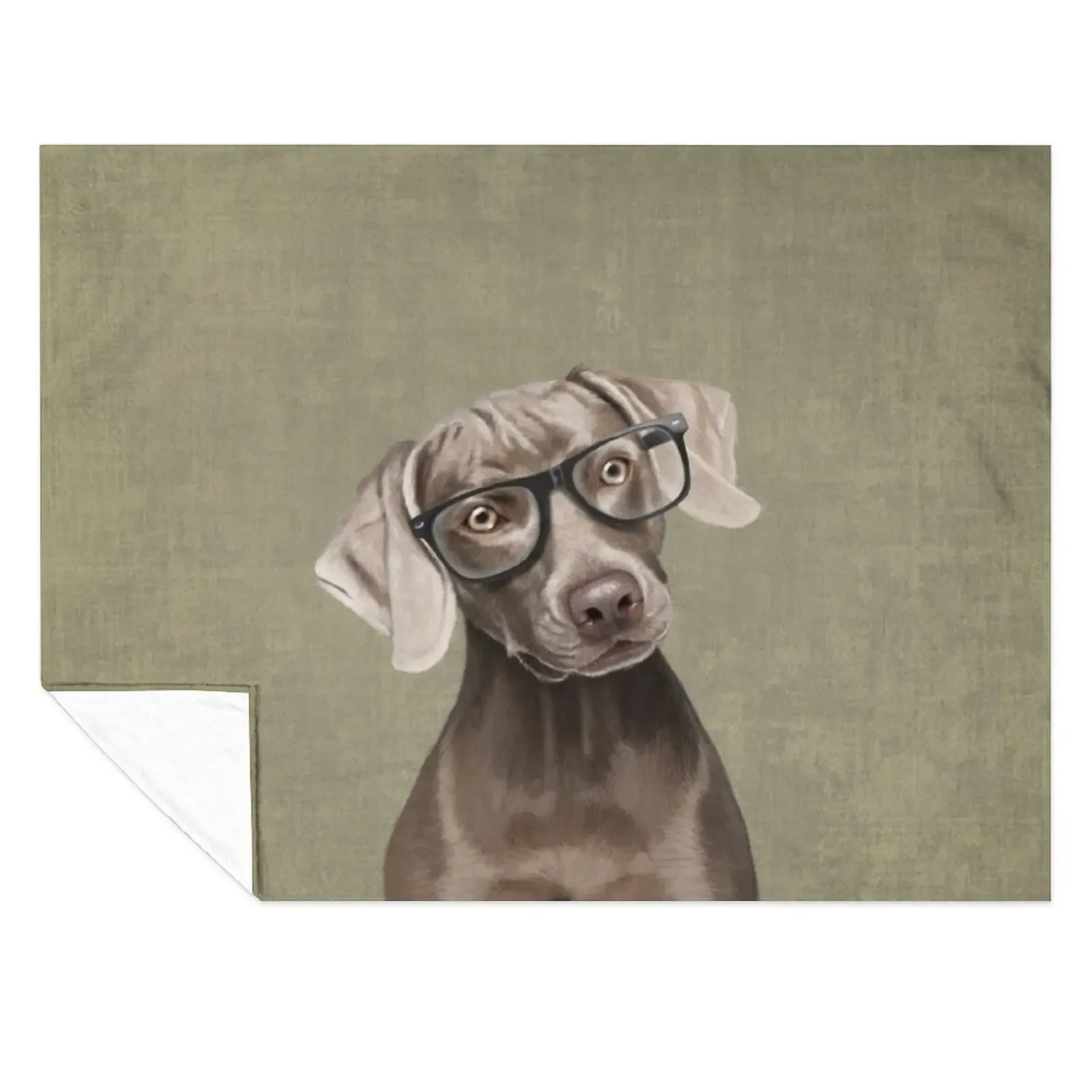 

Mr Weimaraner Throw Blanket Decorative Sofas Luxury Sofa Throw For Baby Blankets