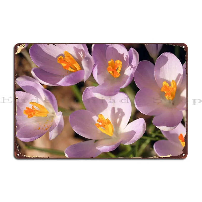 Safran Crocus Flowers Metal Sign Rusty Wall Cinema Personalized Create Tin Sign Poster