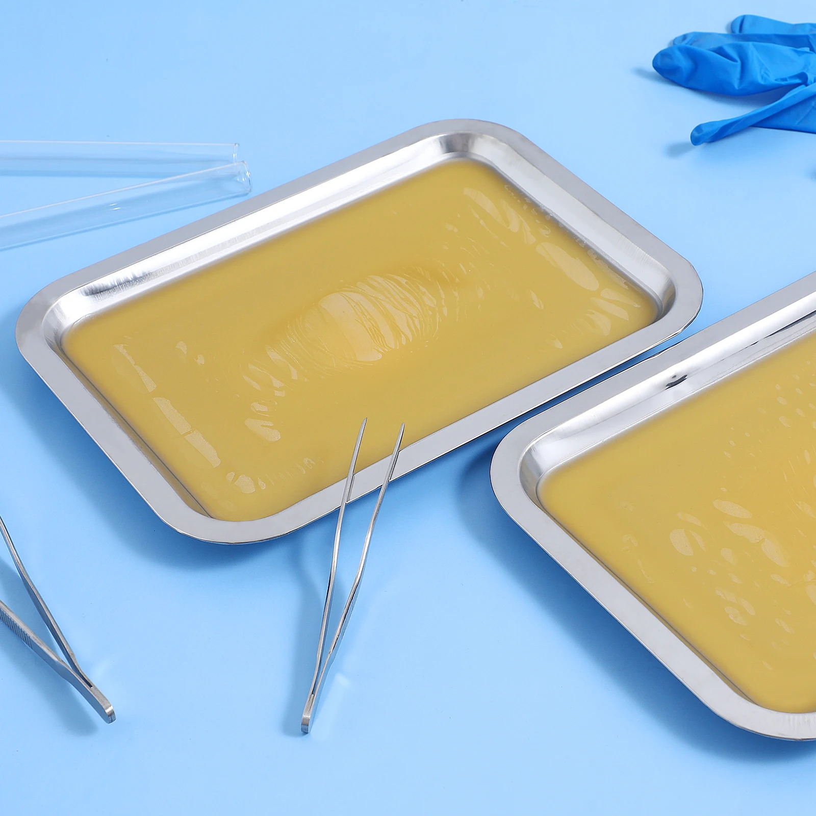 

6pcs Dissection Tray Stainless Steel Dissecting Plate Polished Dissection Tray Teaching Aid for Dissecting Plate