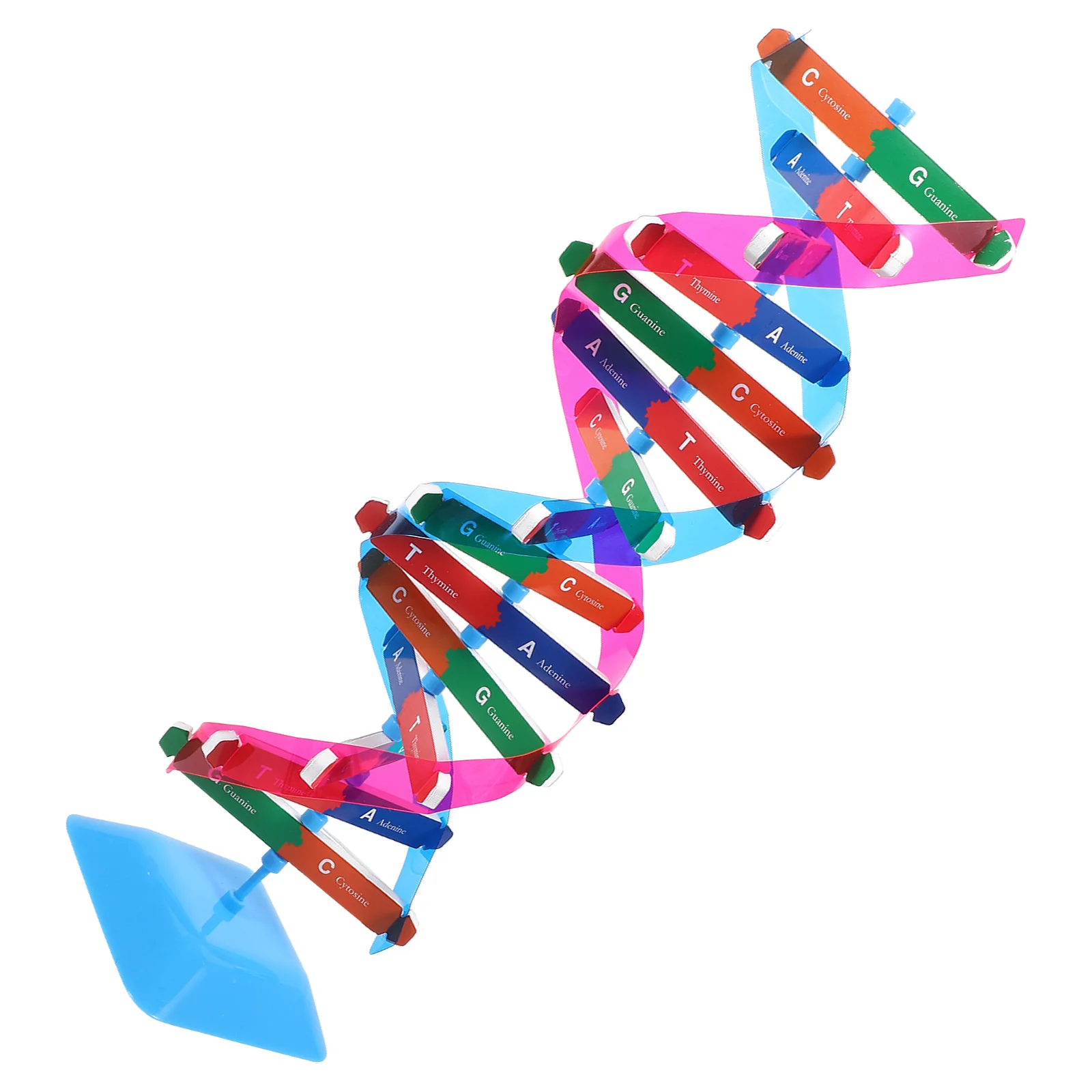 Dna Model Science Educational Instrument Teaching Aids Biology Self-assembling Human Learning Metal Gene