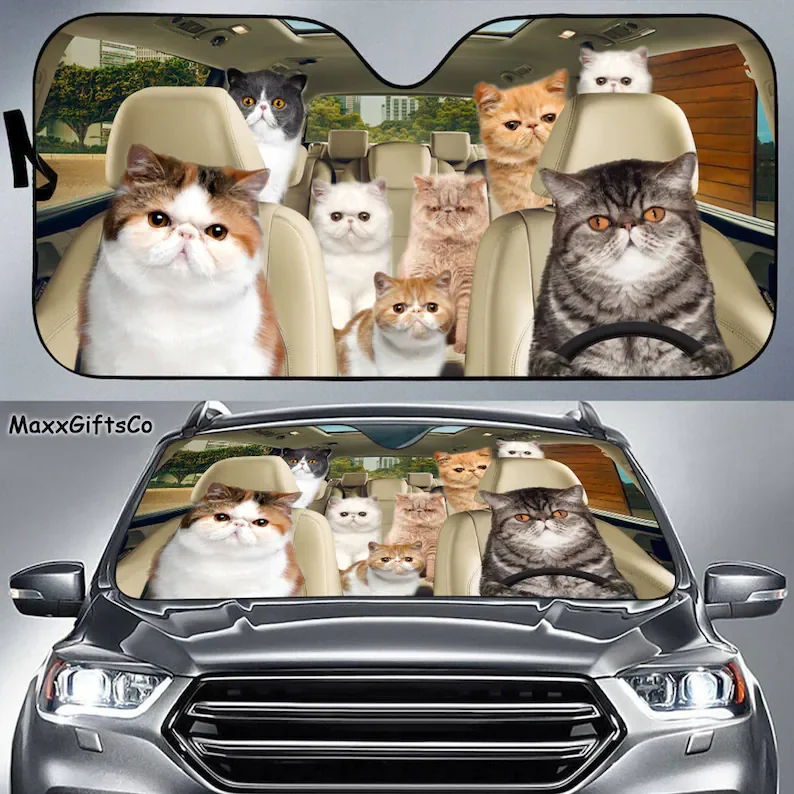 

Exotic cat Car Sun Shade, Exotic cat Windshield, Exotic cat Family Sunshade, Cat Car Accessories, Car Decoration, Gift For Dad