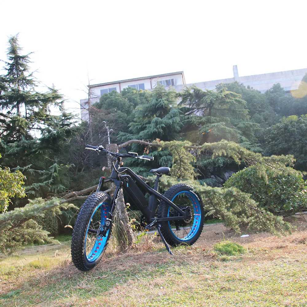 

2019 Hot Selling Alloy Frame Carbon Fiber Painting Full Suspension Fat Tire Electric Bike