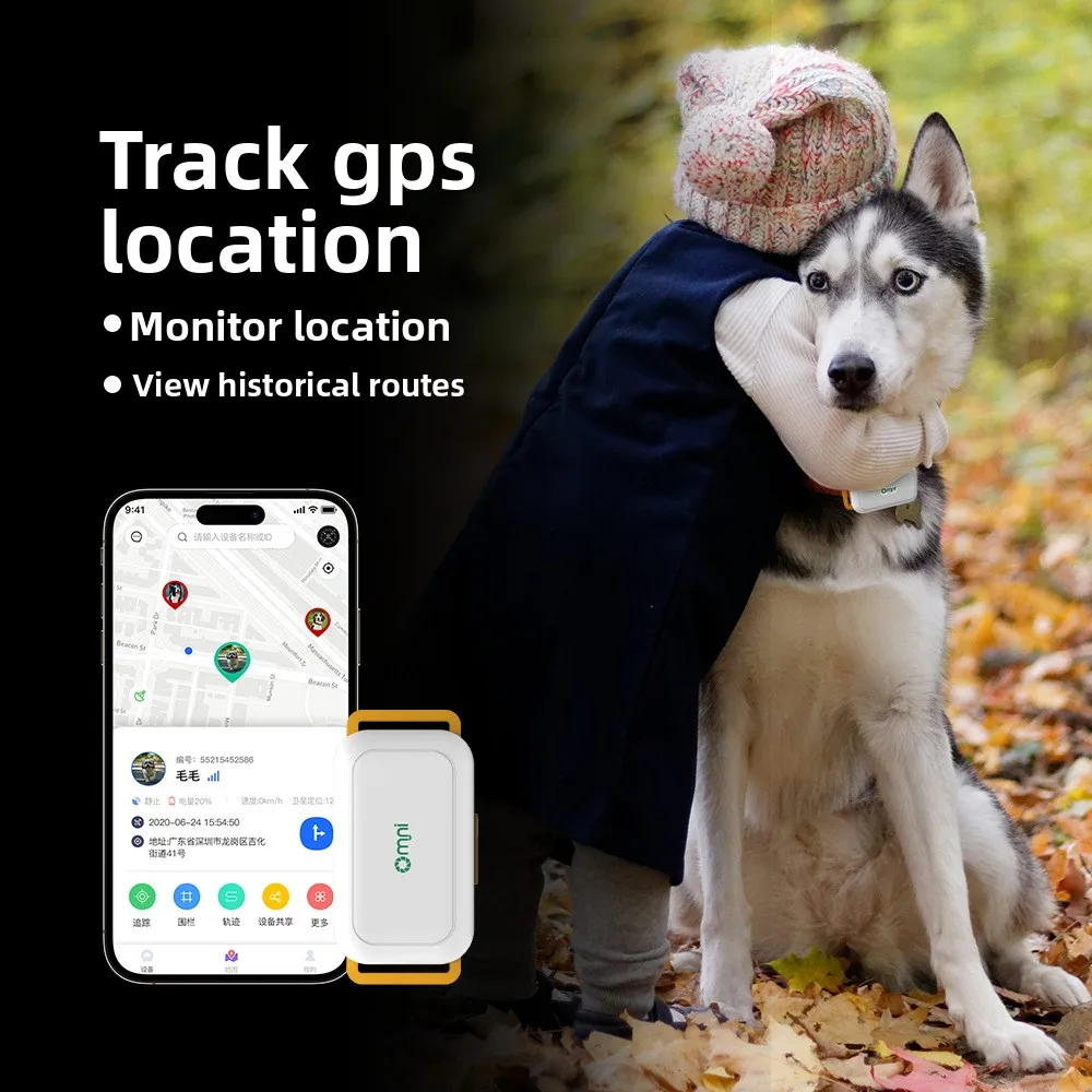 GPS global positioning 4G kitten dog anti-lost tracker, smart electronic pet locator collar