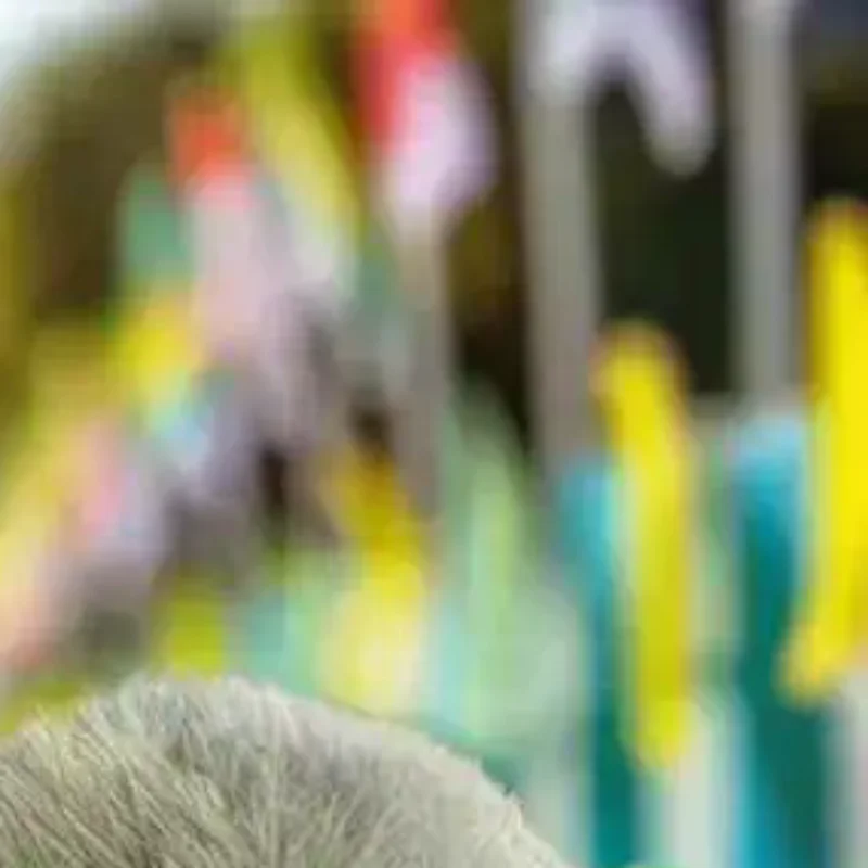 White Seal Plush Keychain 1Pcs, Grey Soft Stuffed Doll; Cute Animal Pendant as Fashion Car Ornaments