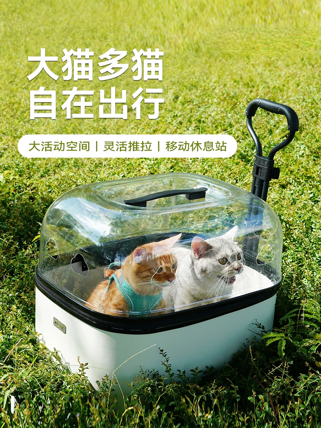 Pet Stroller Oversized Cat Bag Trolley Luggage Dog Travel Suitcase Large Space Cat Bag Big Cat Maine