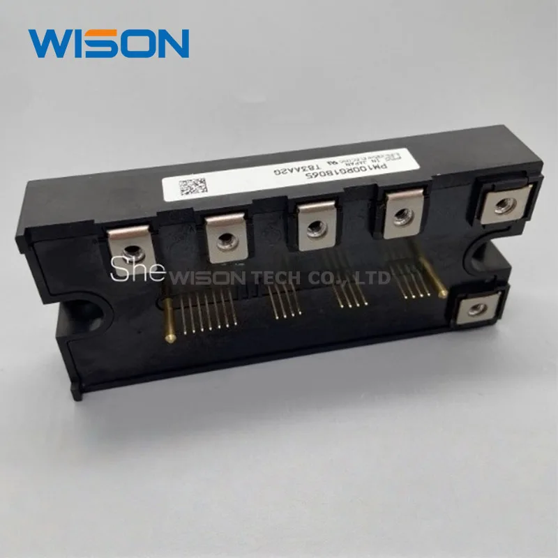 PM75CG1B065 PM100CG1B120 PM100CG1AP065 PM150CG1B065 PM100CG1A065 PM75CG1B120 PM75RG1B065 PM100CG1B065 PM100RG1B065 オリジナル