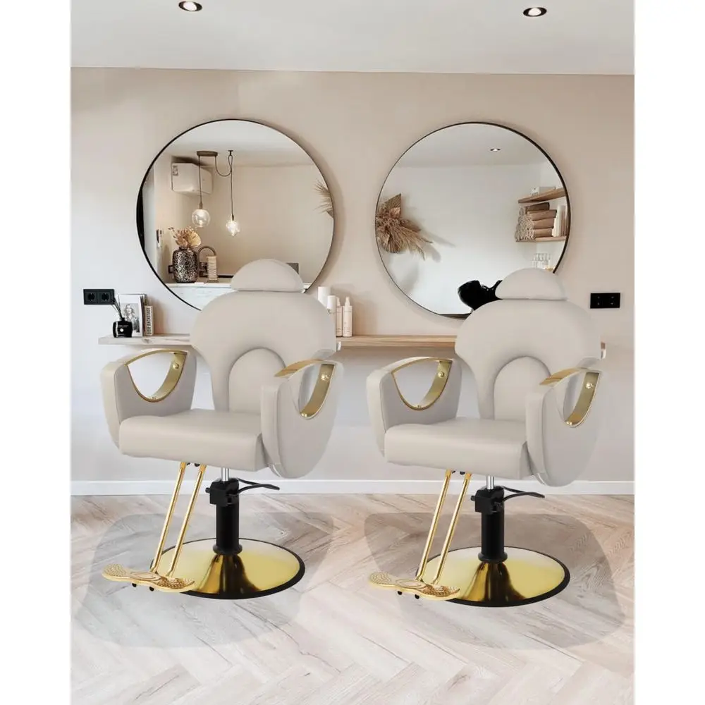 

Парикмахерское кресло двойного назначения с возможностью 360° ° Поворотный и гидравлический насос, серый, набор из 2 шт. для салонов и парикмахерских