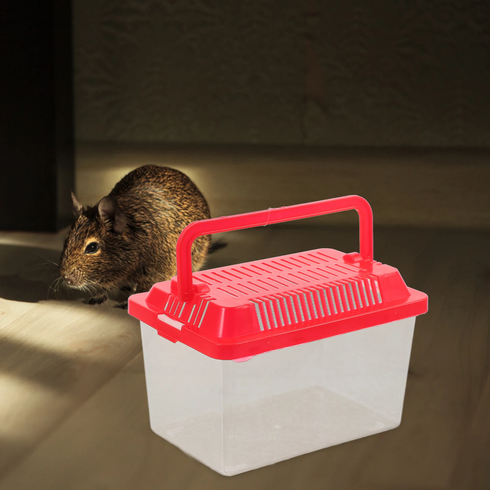 

Compact Reptile Tank Plastic Aquarium Turtle Holder Smooth Surface Creative Design Easy Clean Portable Fish Tank