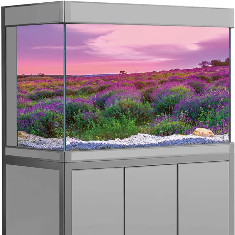 Lavender Flower Sea Cherry Tre - Aquarium Fish Background 评论和价格