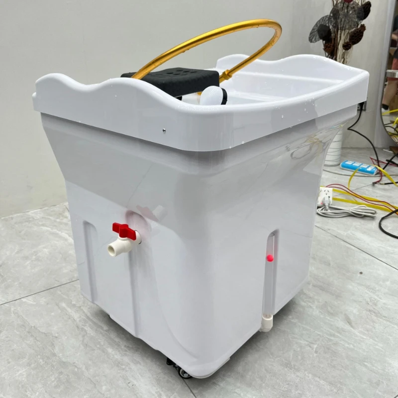 

Massage Simplicity Shampoo Chairs Luxury Living Room Equipment Pillow Shampoo Chairs Nursing Furniture Cama De Champu Ls40xtp