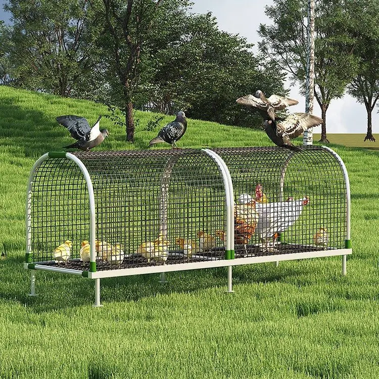

Walking chicken cage tunnel chicken tunnel runway cute pet chicken