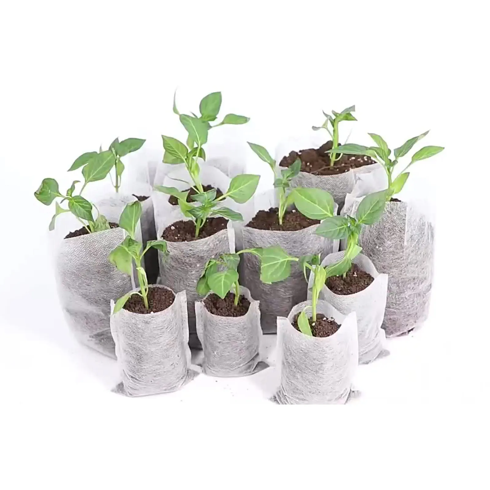 

Degradable Thickened Seedling Bags Non-woven Fabric Seedling Bags 100Pcs Household Horticultural Planting Bags Garden Accessory