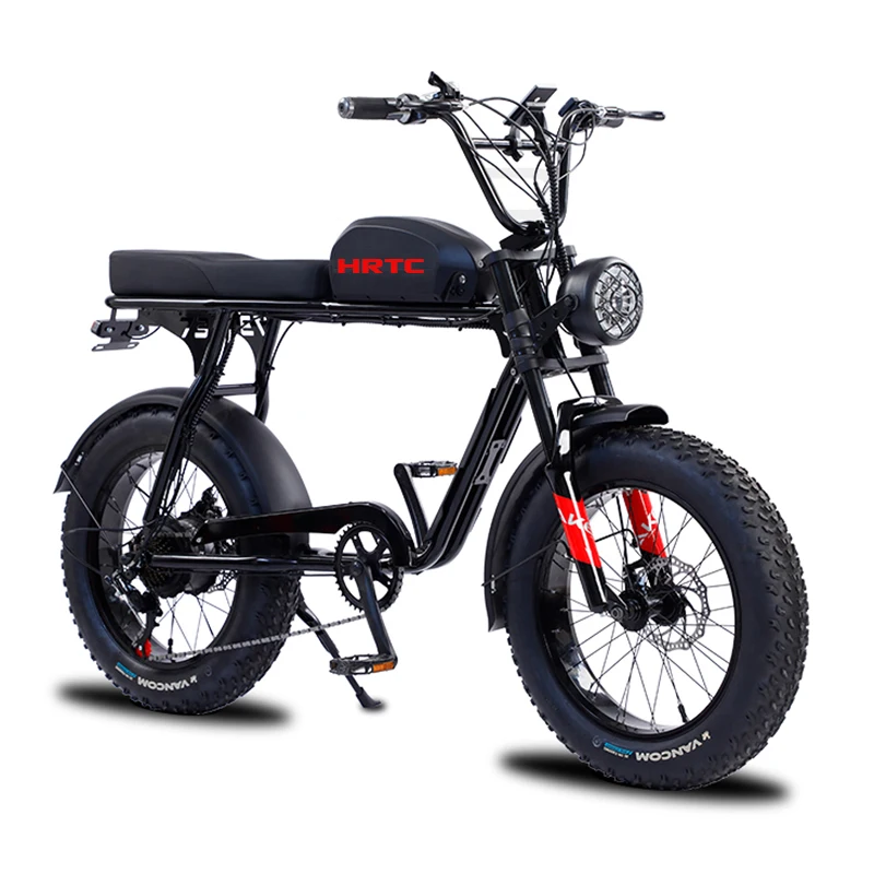 

20 inch retro two-wheel variable speed snow power bicycle 48v1500w rear wheel direct drive fat tire off-road ebike