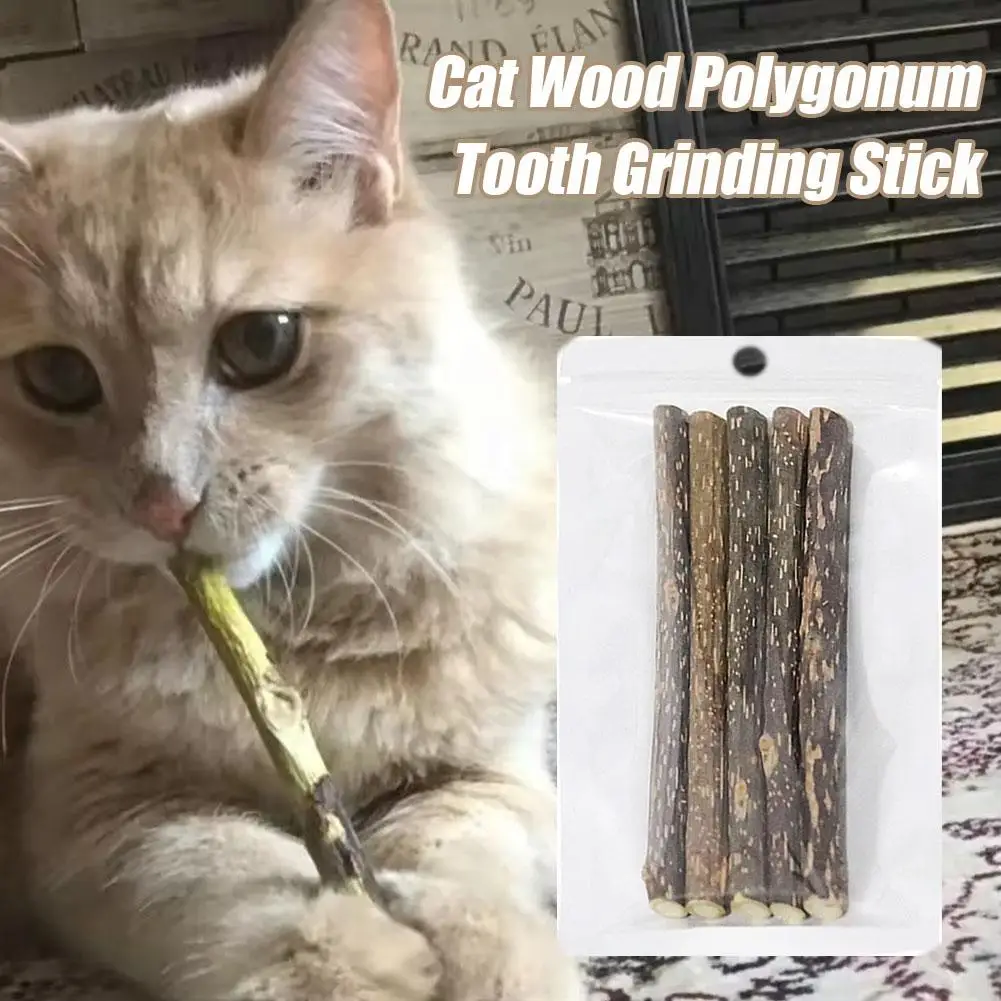 5pc Catnip Stick Pet Cat Molar All Natural Self-healing Wooden Toys Suppli Cleaning Relieve Polygonum Snacks Chews Boredom Z0A6