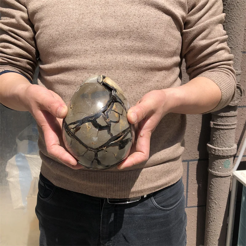 2.5kg Natural curvature of the furnishing articles Turtle grain stone egg Ball Septarian nodule Crystal Healing quartz