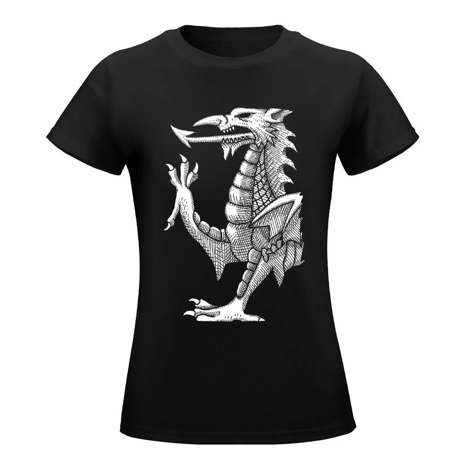 Welsh Dragon Lines T-Shirt Aesthetic clothing Blouse t-shirt dress for Women long