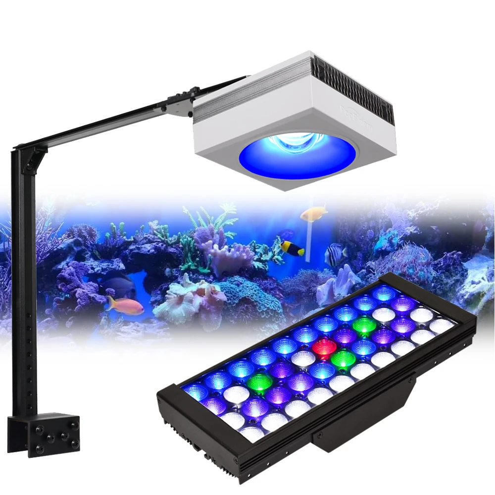 PopBloom Dimmable LED Lighting Dimmer Lamp, Fish Bowl Aquarium Light, Marine Coral Lights, High Brightness