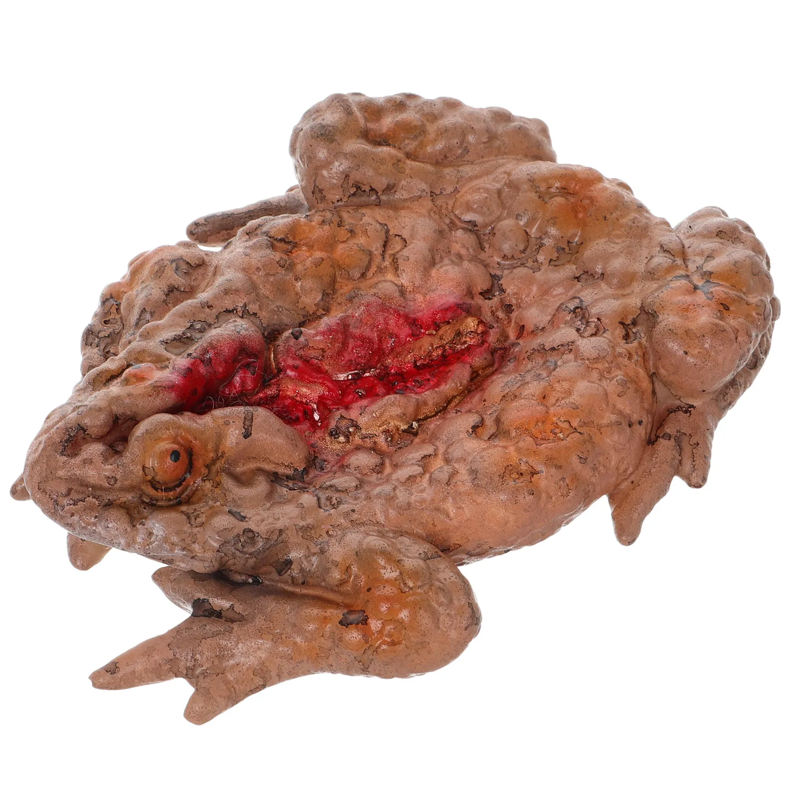 

Realistic Large Horror Toad Meal Box Scary Prank Prop Decoration Halloween Party Haunted House Simulation Prop Bloodstain