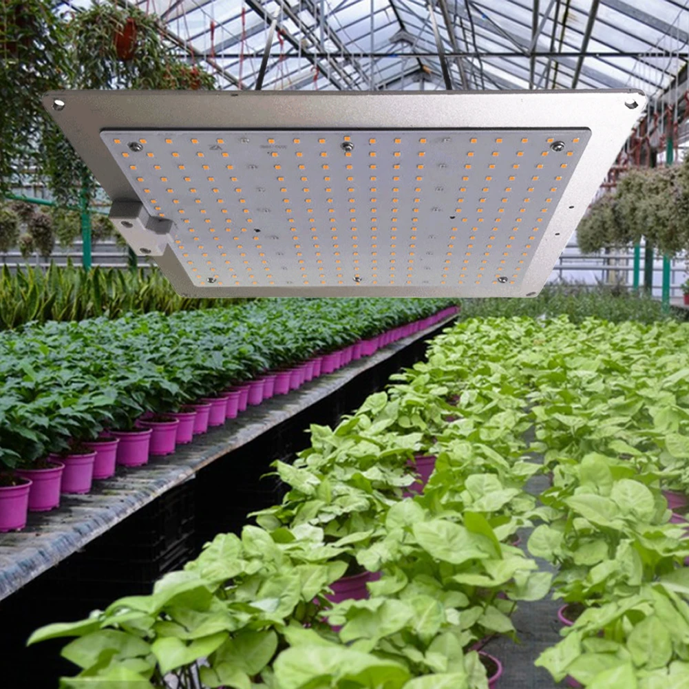 12W Full Spectrum Plant Lamp 169 LED Grow Lamp Full Spectrum Grow Light Red Blue LED for Indoor Gardening Vegetables Grow Tent