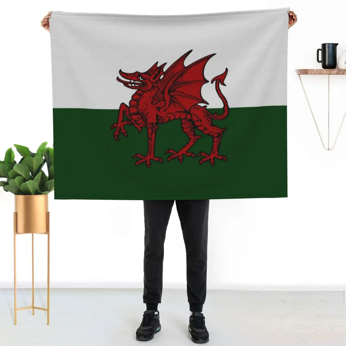 

Welsh Dragon Throw Blanket Foldable Soft Warm Blanket for Outdoor Use