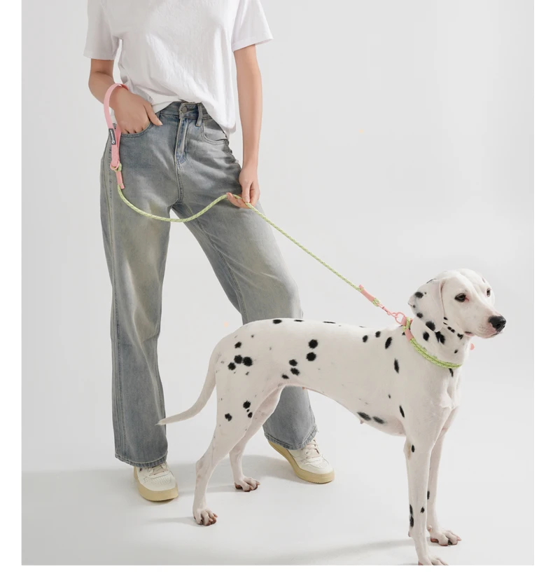 Pet Supplies Dog Collar For Small and Medium Dog Walking Sugar Color Series Cute Style PVC Webbing Collar Leashes Set New Arriva