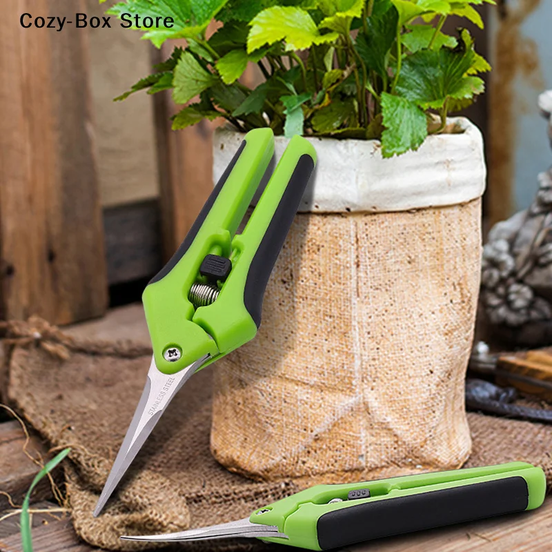[ZY]Garden Stainless Steel Flower Scissors Pruning Fruit Pruning Grape Pruning Straight Head Gardening Scissors Pruning Flowers