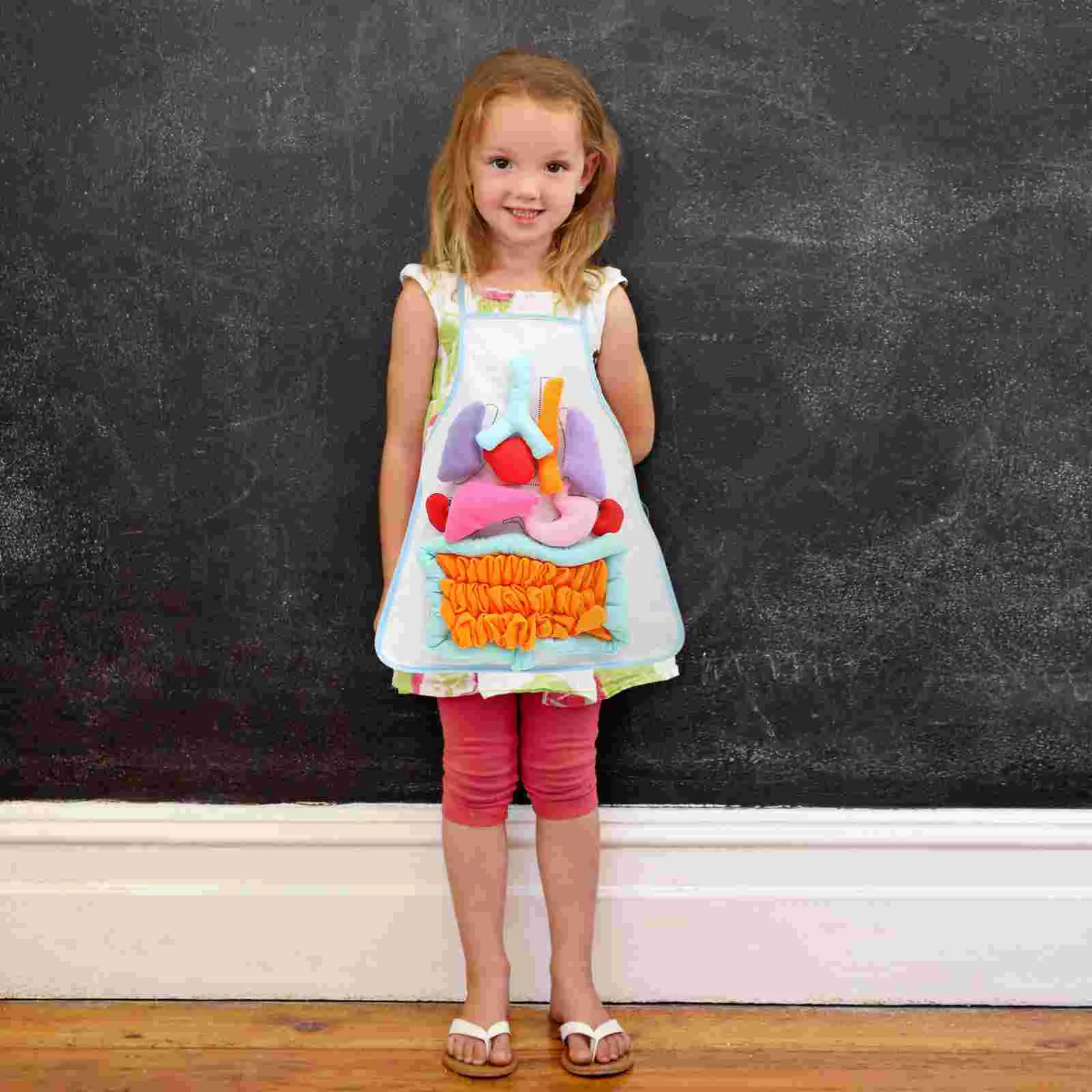 Educational Apron for Kids Human Organs Model Teaching Puzzle Removable Childhood Aids DIY Women Teachers