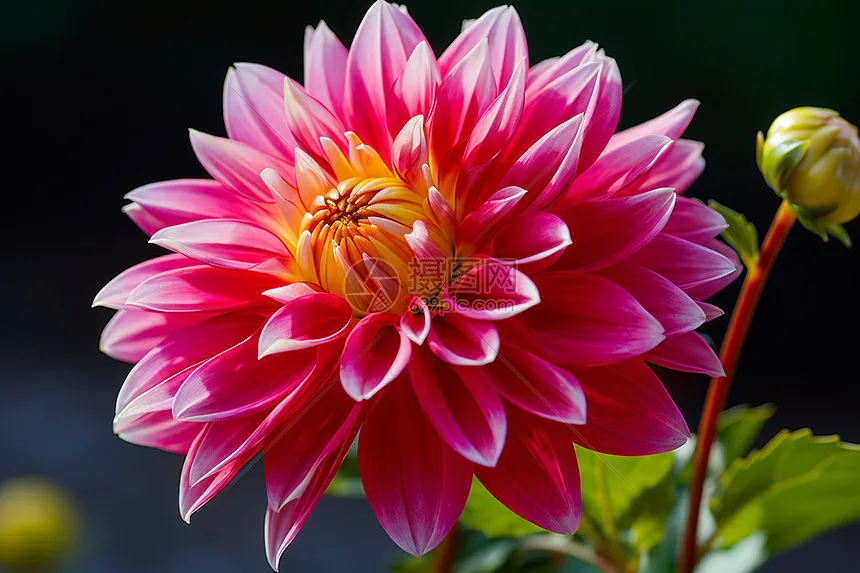 

4 шт. 2,2-дюймовые металлические диски Beadlock из алюминиевого сплава для TRX4 TRX6 Axial SCX10 III 1/10 RC Crawler