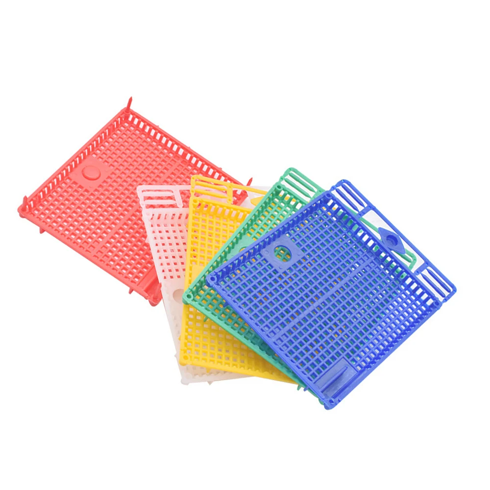 5PCS Queen Rearing Plastic Large Space Introduction Cage Push Against Comb Prisoner Imprison Imker Apiculture Beekeeping Tools view 2
