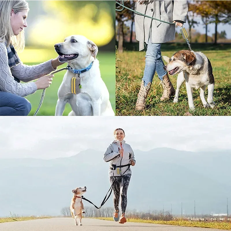 Support de sac à crottes pour animaux de compagnie, accessoire de rêve de laisse, mini chiens, outil de livres, sac poubelle de voyage, distributeur