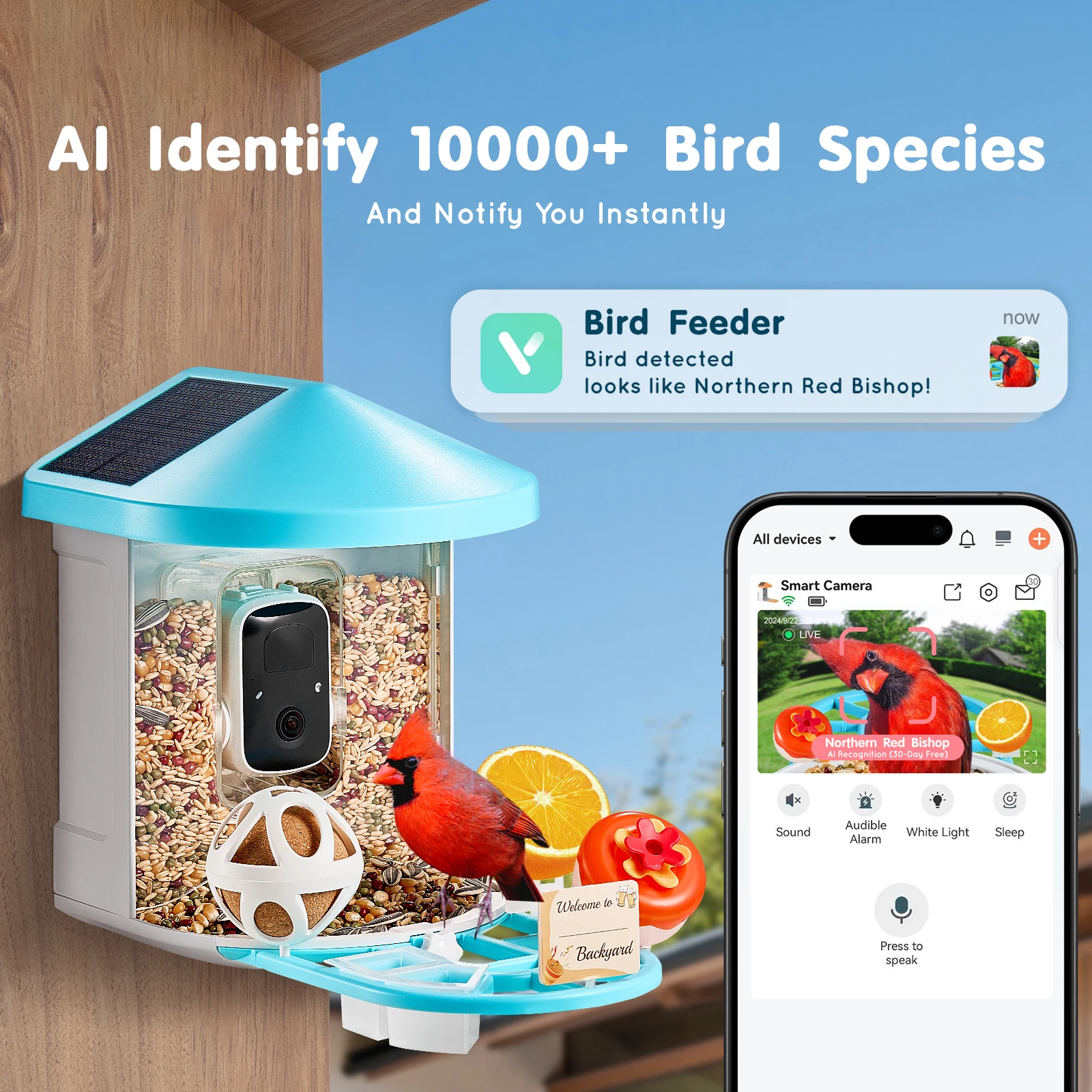SucceBuy Smart Bird Feeder with Camera 2KHD AI Identify 10000+ Bird Species Solar-Powered Bird Watching Camera with Auto Capture