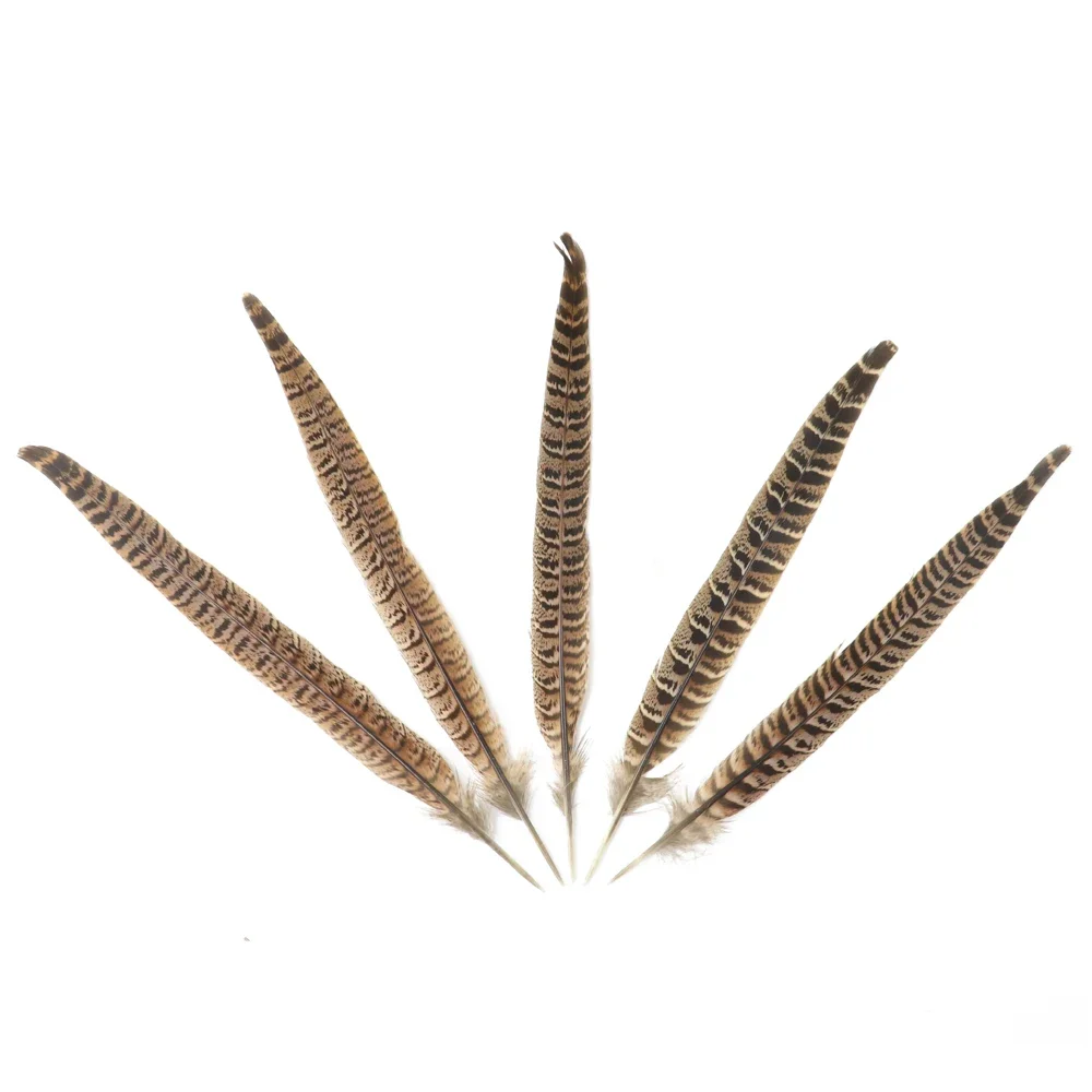 10 قطعة 25-30 سنتيمتر الدجاجة الطبيعية الدراج الذيل الريش جميلة جميلة أعمدة Diy بها بنفسك غطاء الرأس المهرجانات مجوهرات إبداعية الحرف اليدوية