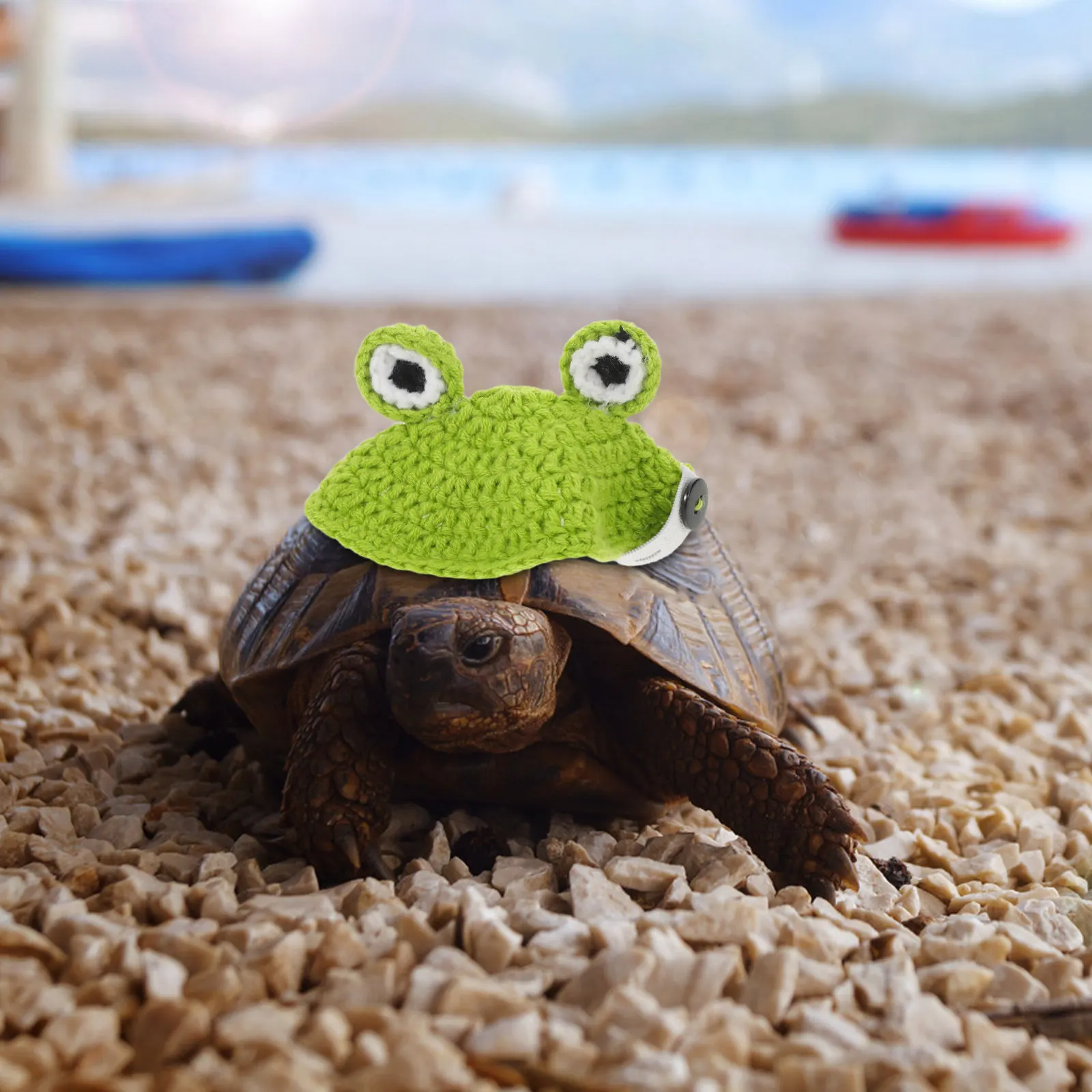 Handmade Tortoise Shell Costume Winter Knitted Sweater Elastic Strap Turtle Pet Cosplay Photo Shoot Halloween Christmas Party