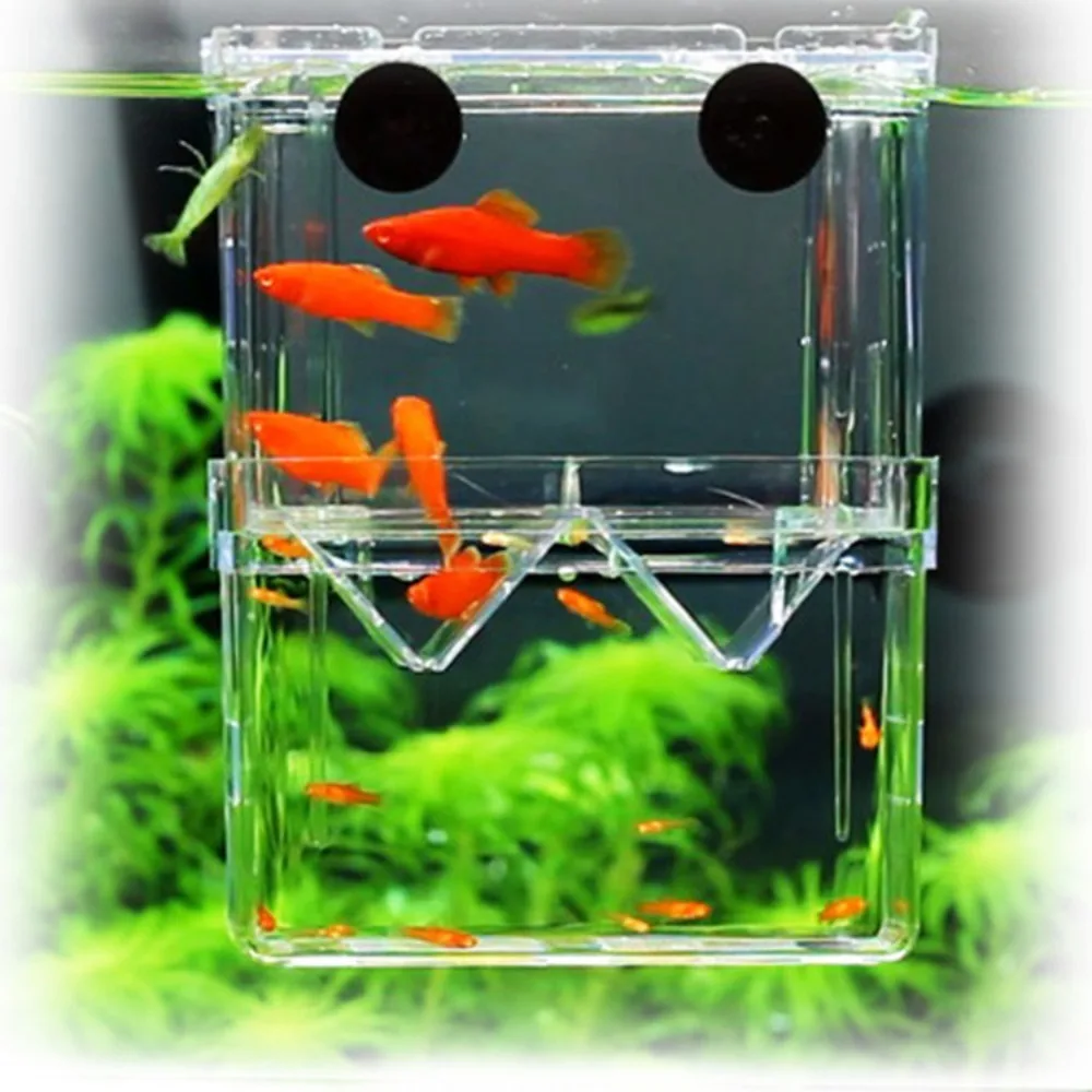 Acuario de peces multifuncional, caja de aislamiento de cría de peces de alta claridad, cría de acuario, pecera, incubadora para incubar Guppies dobles