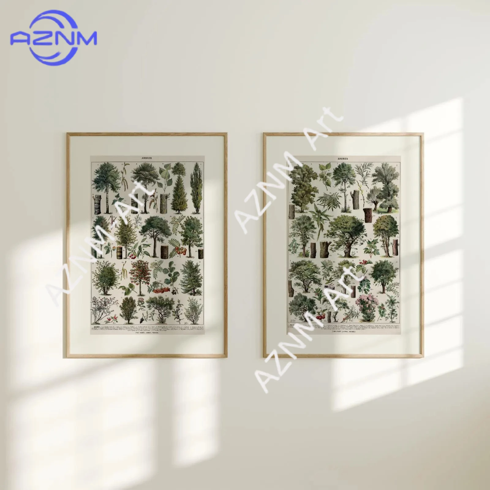 1/2 piezas de impresiones de árboles Larousse |   Dos Pósters Vintage de Arte Botánico para Pared, Ilustraciones de Especies Vegetales, Gráficos Educativos