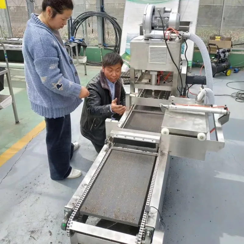 Venta caliente hecha en China Máquina automática de siembra de semillas con bandeja de precisión para tabaco, verduras y flores