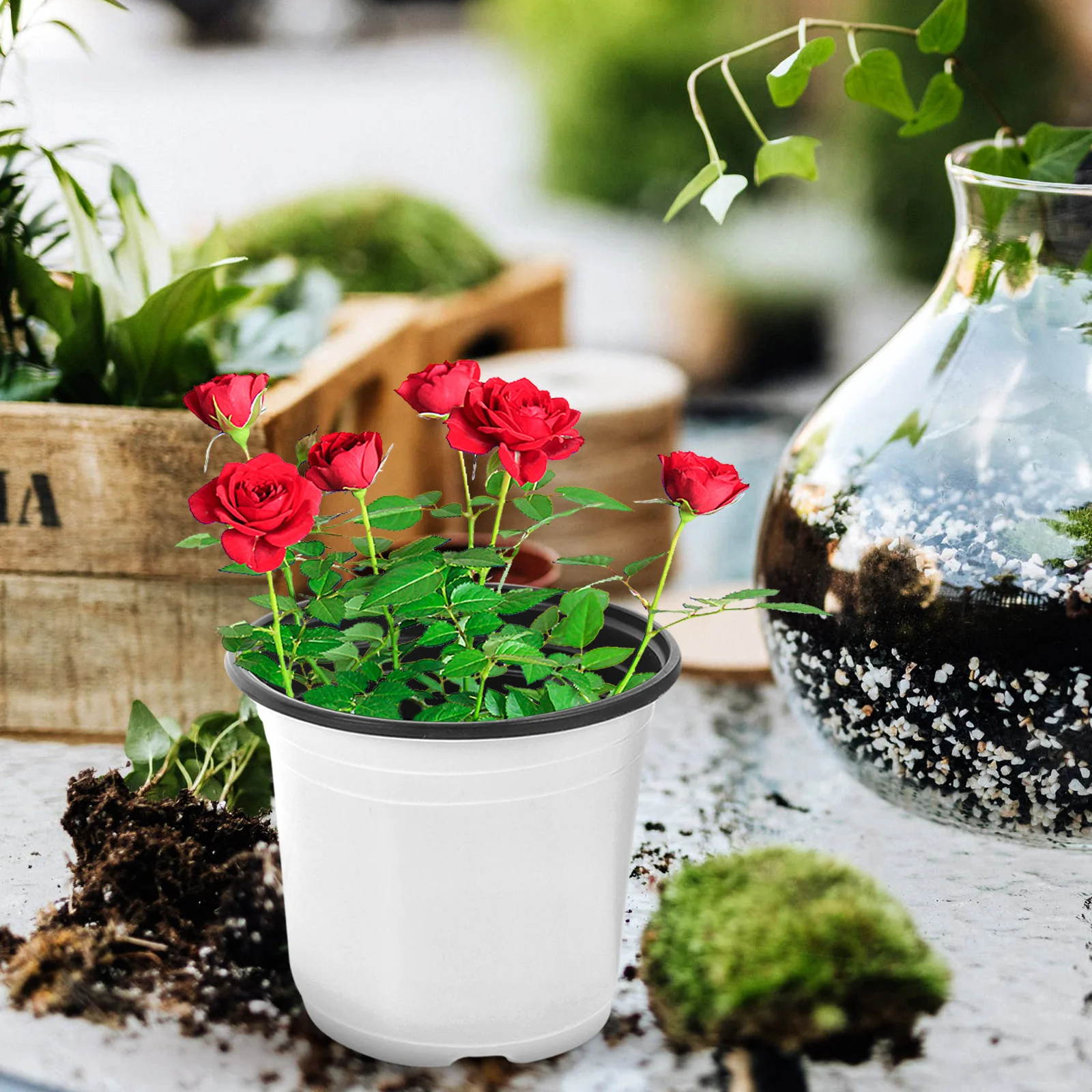 

30pcs Flower Pot Bicolor Flower Pot Set 130 150 100 Size Durable Reusable Plastic Garden Pots for Plants Greenery