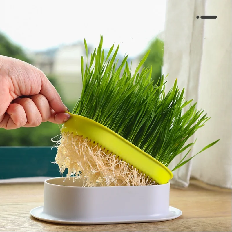 

New Pet Cat Sprout Dish Growing Pot Hydroponic Plant Cat Grass Germination Digestion Starter Dish Greenhouse Grow Box