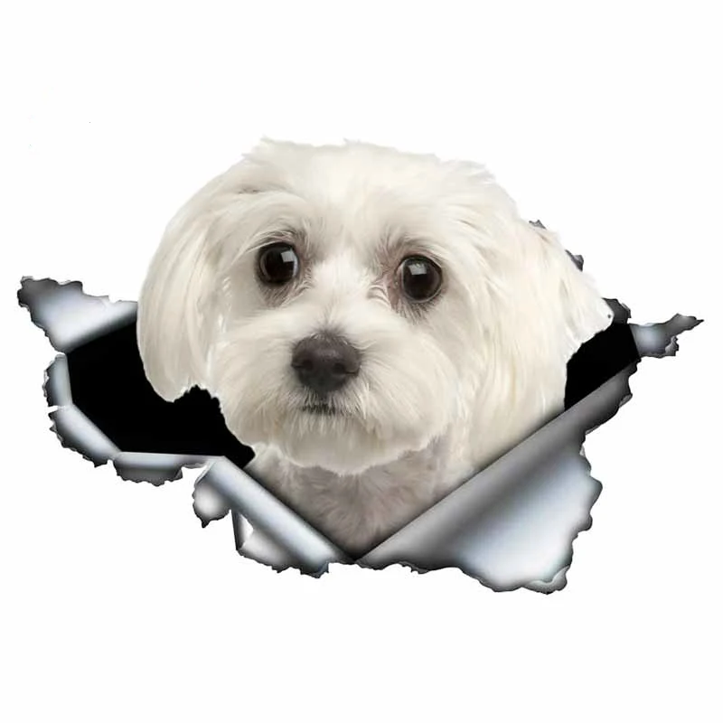 LYKX Lovely Maltese Pet Dog Car Sticker decoración impermeable Window Boot Decal Motorcycle Cover Scratch PVC Decals