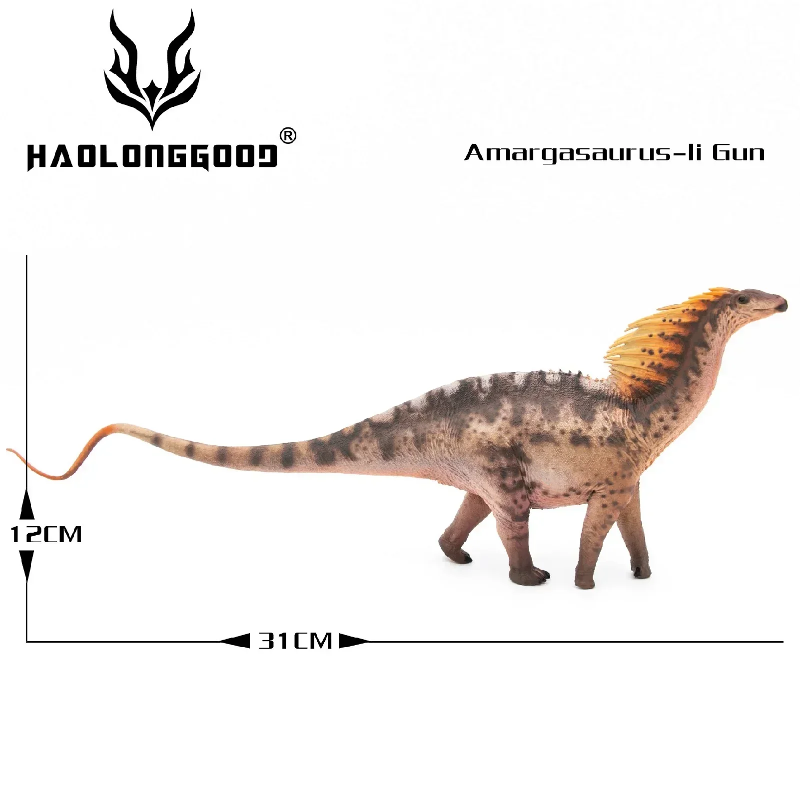 1:35 HAOLONGGOOD Amargasaurus Dinosaur Toy Animal Model