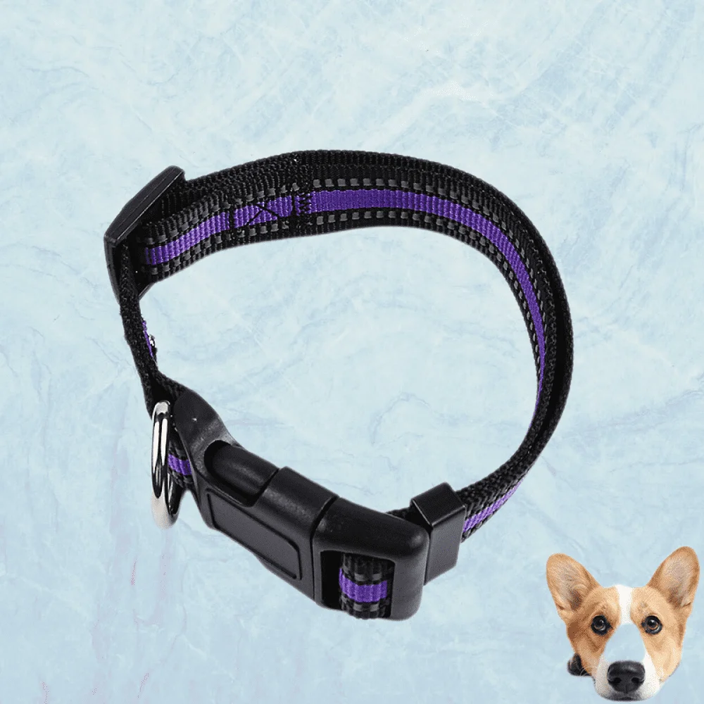 Reflective Dog Collar, Adjustable Nylon Pet Collars wiith Buckle, Light Weight Puppy Collars, Dog Collars for Medium Small Dogs