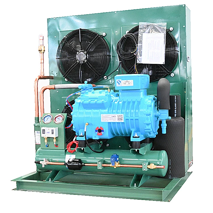 Refrigeration 12HP Energy Saving Cold Chain Air Condenser Frozen Storage Compressor Condensing Unit with for Compressor