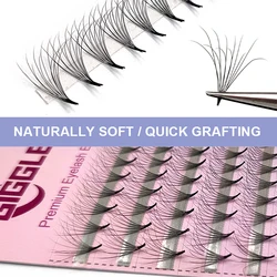Pointy Base Double Layer Curl C&D Premade Fans Russian Volume Lashes 6D Two-dimensional Fluffy Messy False Eyelash Extension