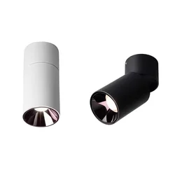 CRI98 Surface Mounted Folding and Rotating LED Downlight 9W12W15W20W24W Dimmable COB Ceiling Lamp Anti Glare Spotlight AC90-260V