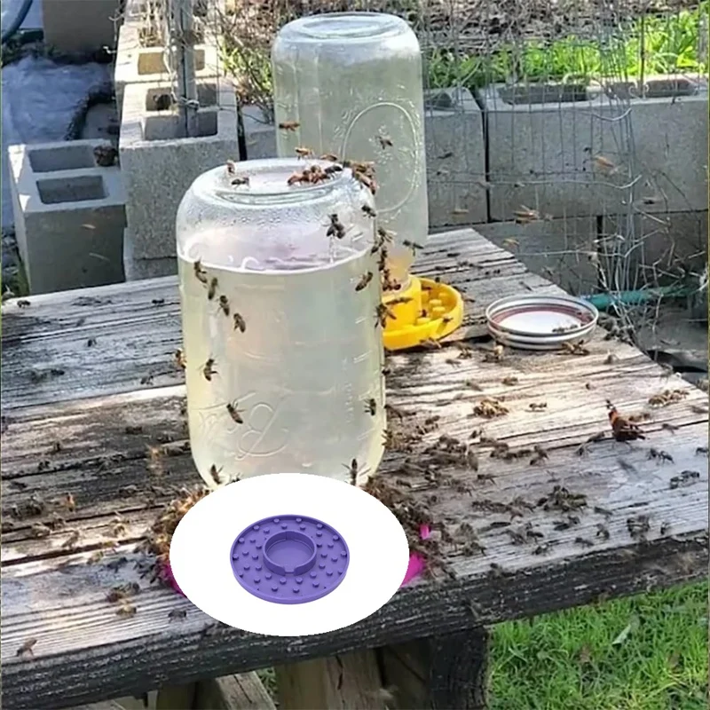 Bee Feeder Base For Regular Mouth Mason Jar, Bee Watering Station, Bee Base For Garden, Bee Cups Water Base For Been