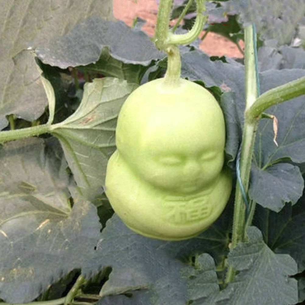 

2Pcs Creative Fruit Growing Molds Transparent Baby Shape Melon Molds Garden Shaping Mold Multi-Function Fruit Accessory