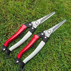 Dobeli High-carbon Steel Pruner Fruit Tree Branch Cutting Tool Bonsai Plant Pruning Tool Straight Head Scissors  Garden Shear